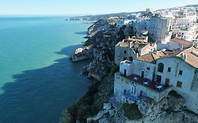 Appartamenti Castello